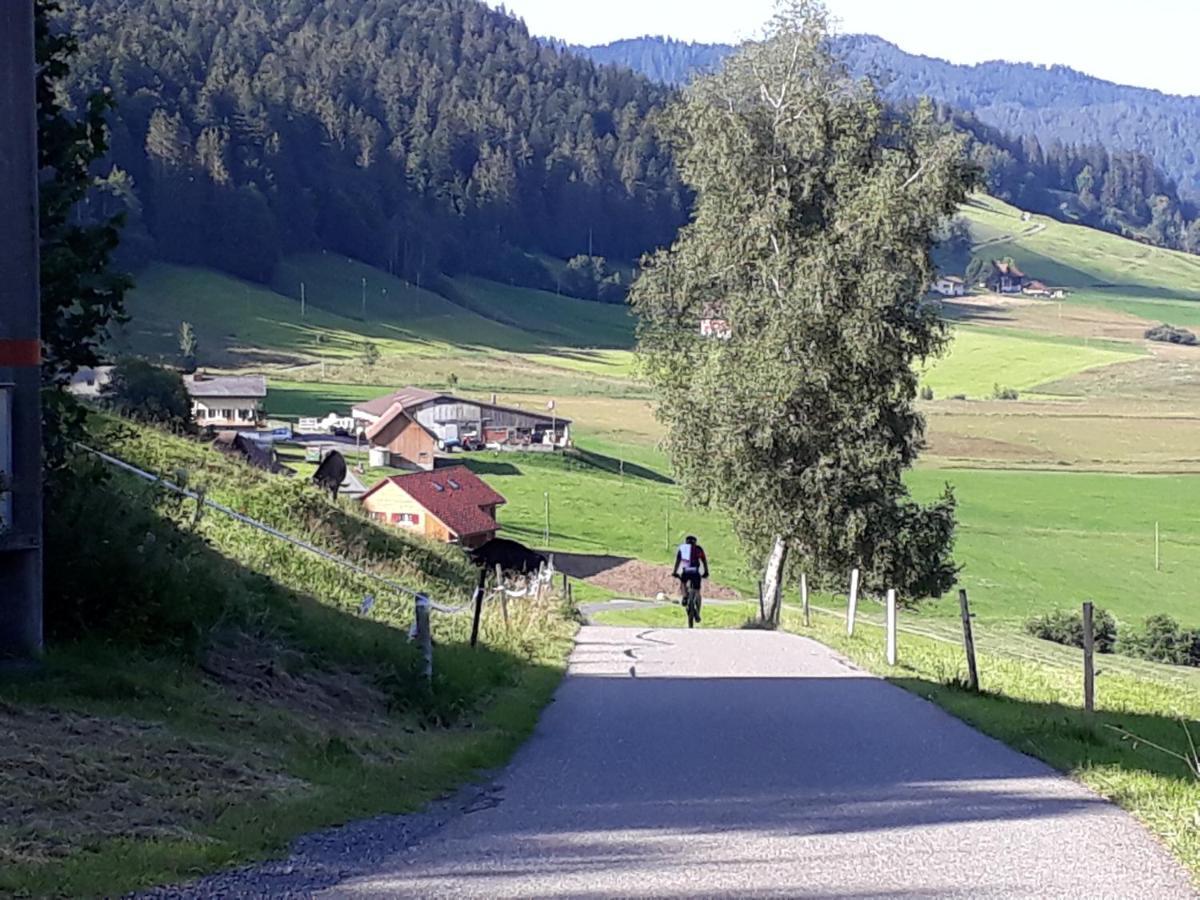 Gaestezimmer Im Dorfzentrum Rothenthurm Exteriör bild